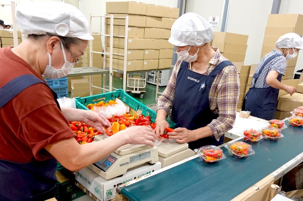 Food packing jobs in Malta