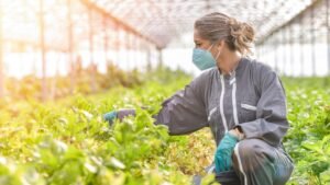 Agriculture Worker jobs in Latvia